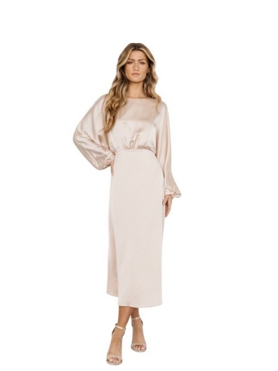 Baltic Born Dresses & Skirts - NWT Baltic Born Champagne Long-Sleeve Midi Dress